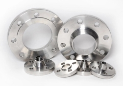 Manufacturer in India Mild Steel Flanges
