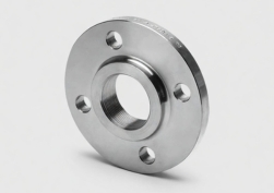 Stainless Steel Flanges Manufacturer in India