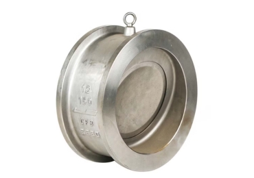 Dual Plate Check Valve Manufacturer in India