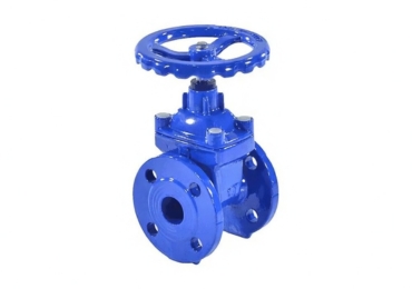 Gate Valve Manufacturer in India