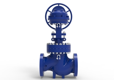 Globe Valve Manufacturer in India