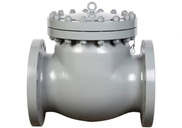 Swing Check Valve Manufacturer in India